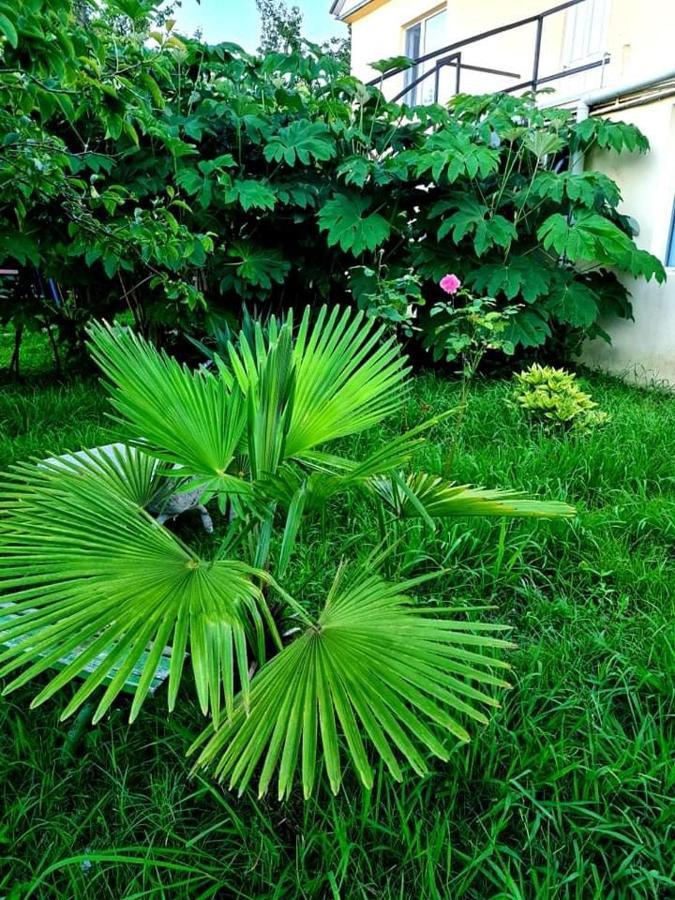 Private House Suliko Hotel Kobuleti Exterior foto